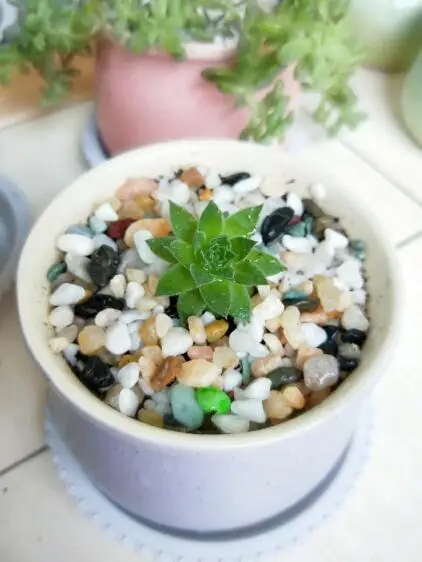 200g Artifical Garden Decorative Pebbles,Succulent Stone,Cobblestone Aquarium.Fleshy Decorative Potted Gardening Supplies