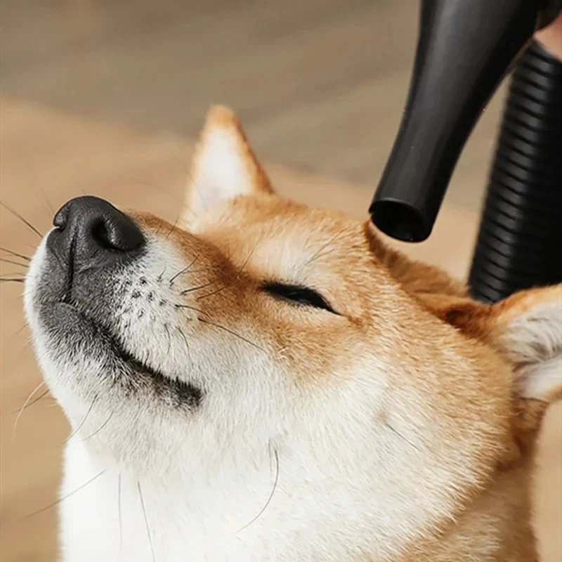 Hair Dryer For Dogs Pet Grooming Supplies Blower Warm Wind Secador Fast Blow-dryer Silent Stepless Speed Regulation 2400W