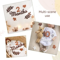 0-10 Digital Milestones Newborn Baby Milestone Wool Felt Digital Milestone Card Baby Newborn Photo Accessories Photography Gifts 5