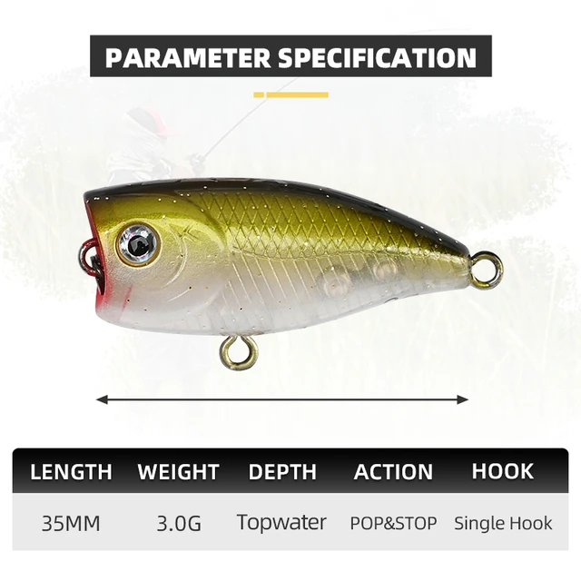 Popper Fishing Lures