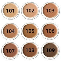 9-Color High Coverage 1pc Foundation Concealer Cover Anti Dark Circle Freckle Long Lasting Waterproof BB Cream Face Makeup Base 3
