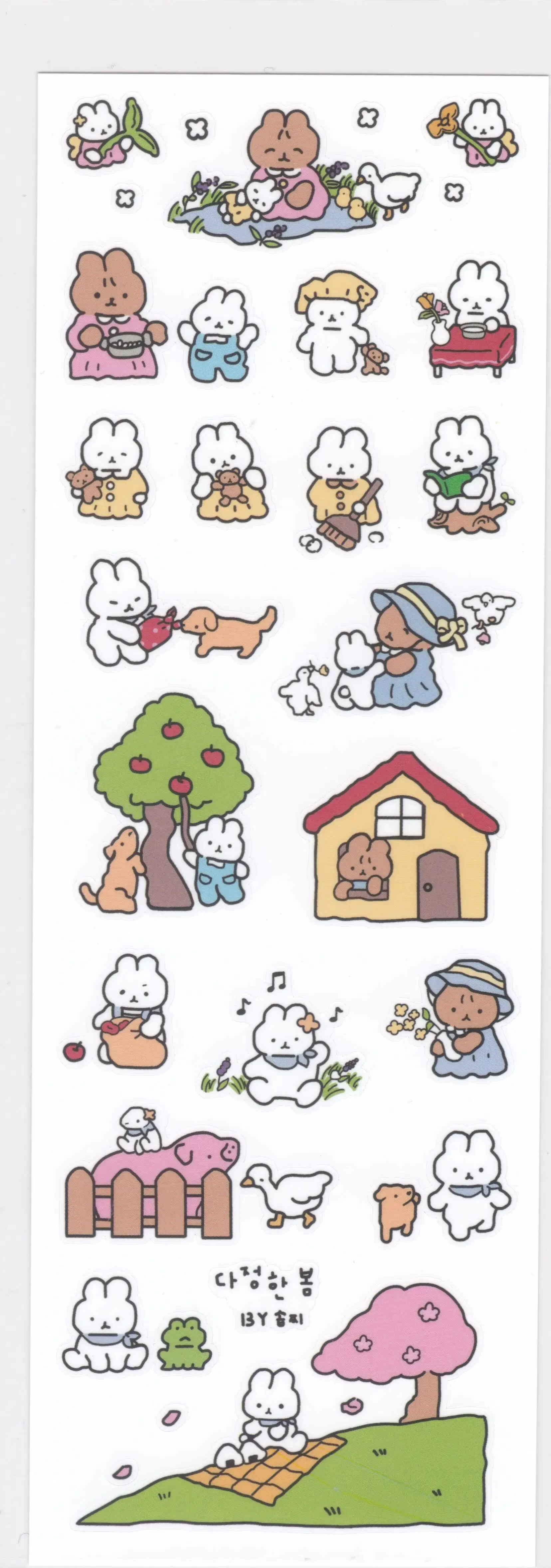 Bunny goes for a picnic