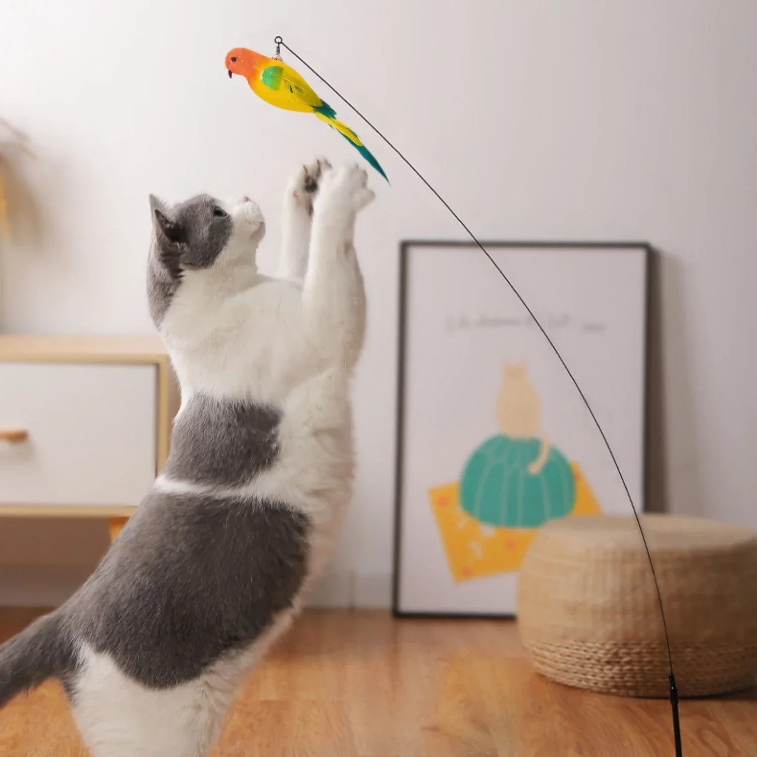 Cat Toy 1