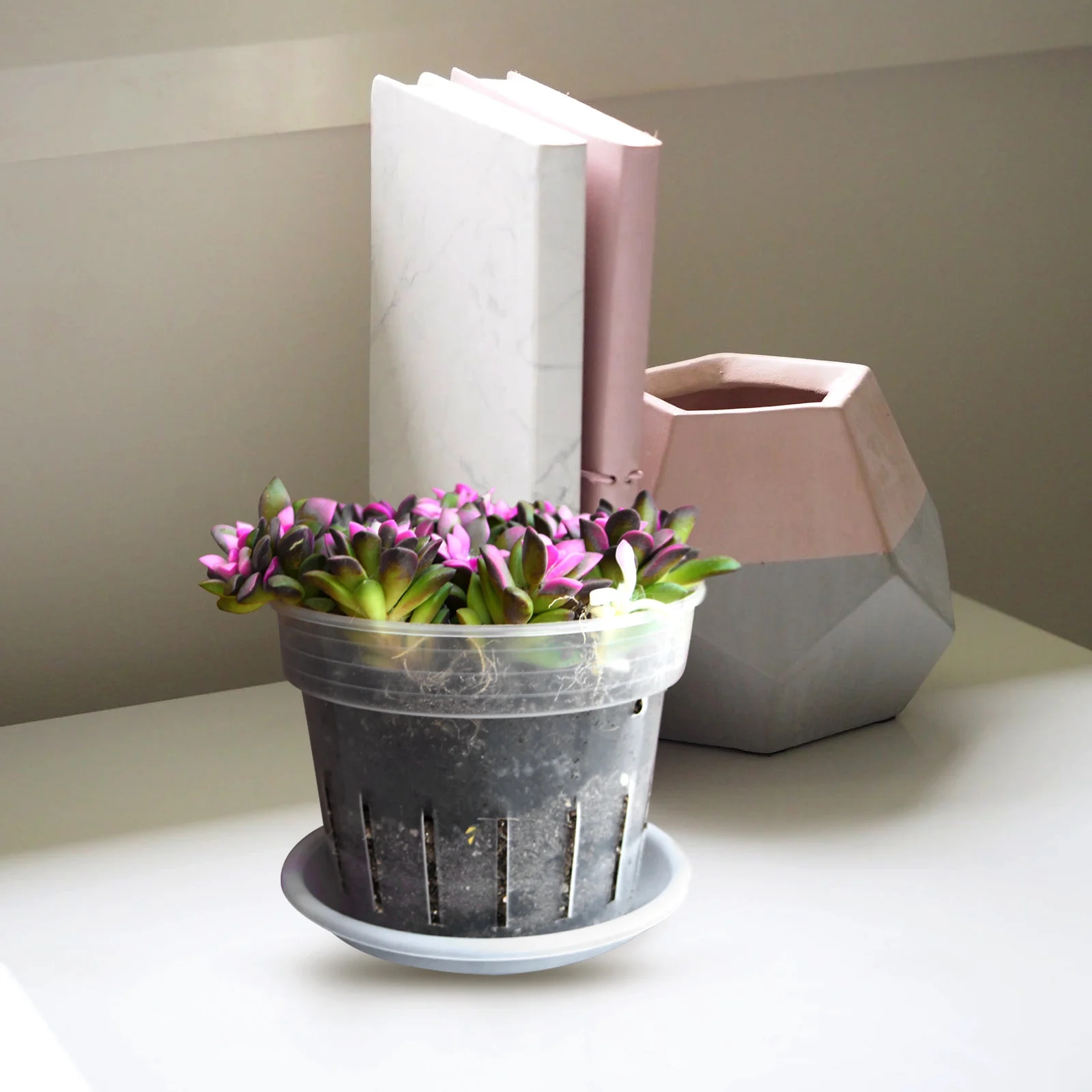 

Orchid Pots With Holes Ventilate Holes Flowerpot Plastic Planter Plant Pots Clear Flower Pot With Tray