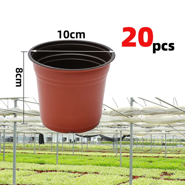 10cm-20pcs