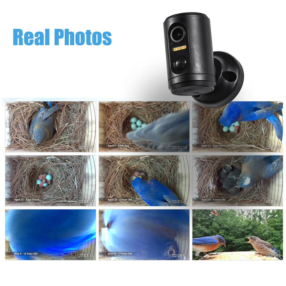 1080P Mini Bird House Camera Wifi With Battery Long Standby