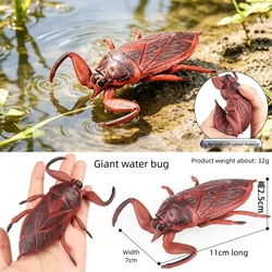 Realistic Insect & Amphibian Collectible Action Figures Set (Giant water bug)