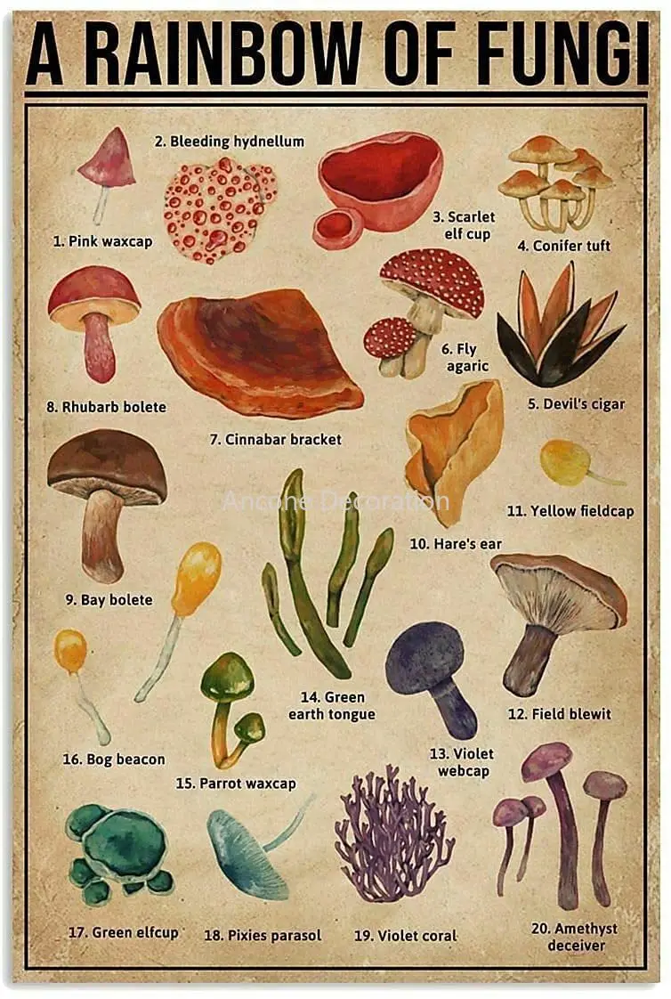 

Types of Mushrooms Metal Sign Poster Home Bar Coffee Kitchen Wall Decor Vintage Metal Tin