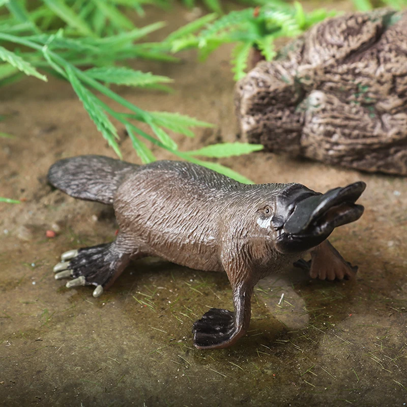 Australian Animal Figure Set 5