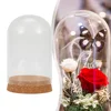 Transparent Dome Wooden Base Tabletop Display Glass Cover Preserved Flower Ornament Craft Dustproof Bell Jar Glass Container 1