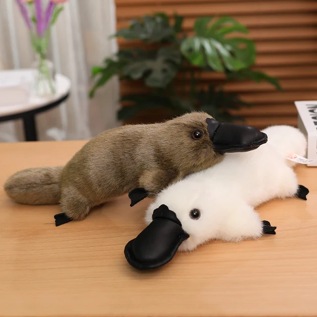 ホット 1pc オーストラリアの動物かわいいカモノハシぬいぐるみ