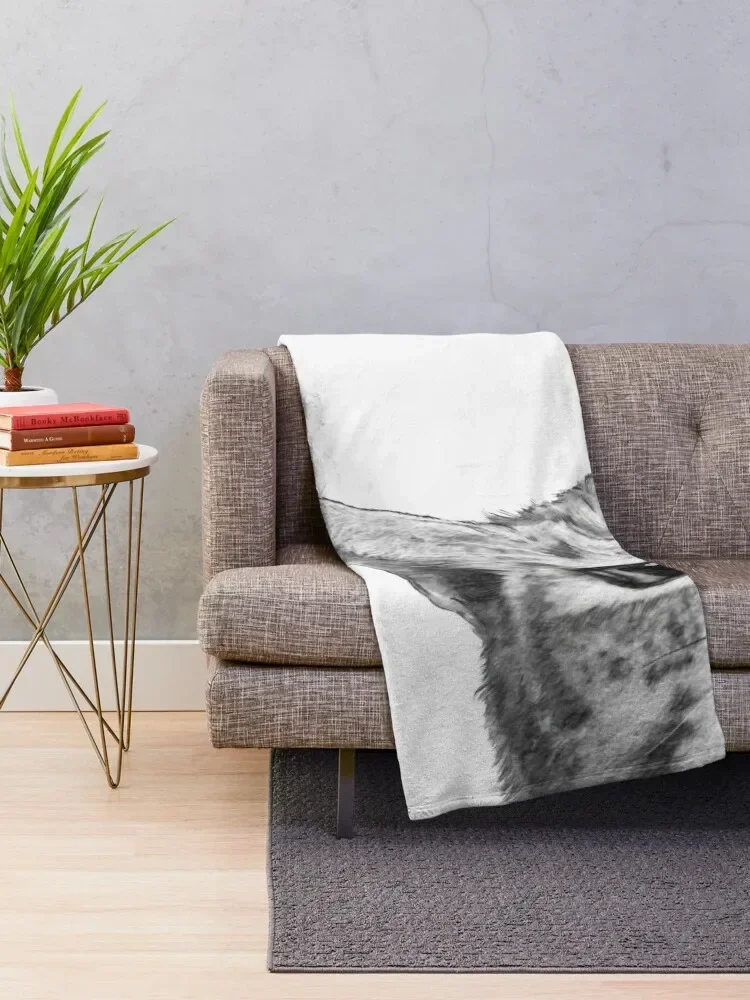  ������ ������ ���, ��Ʈ�� �ö���, ���� ���