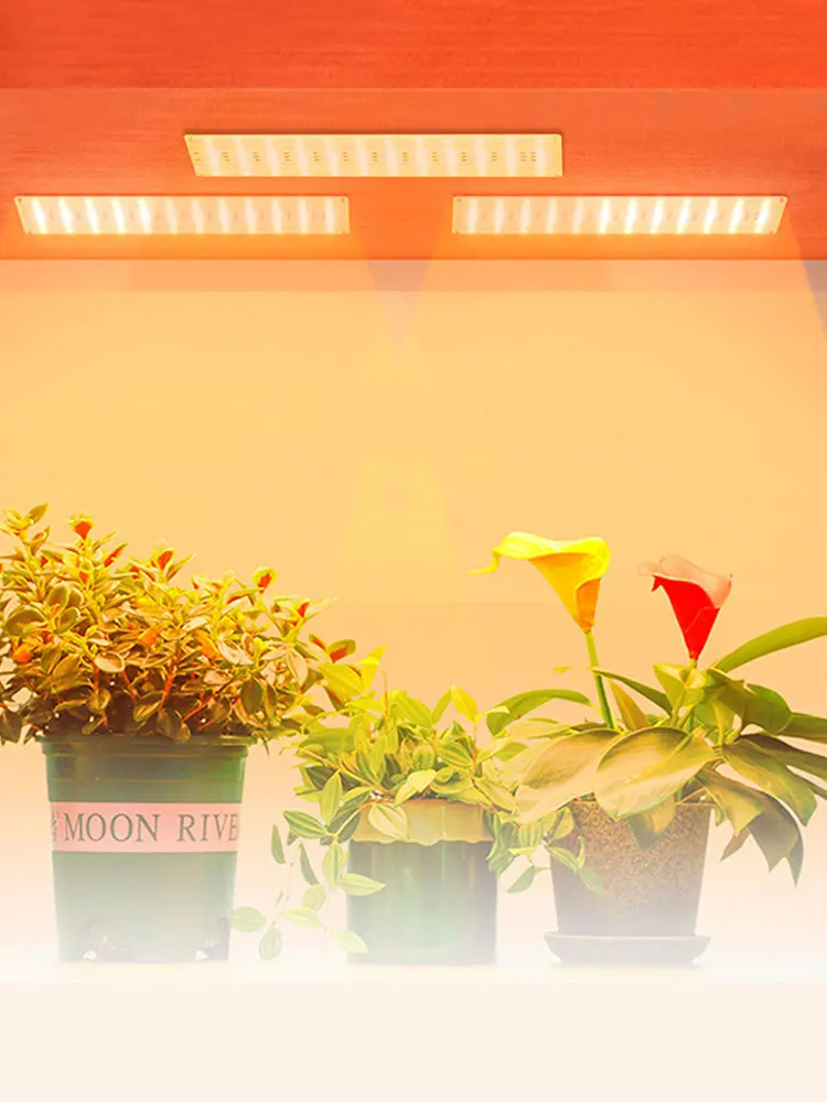 Sfaa0f31dcce84b4eb3fdabb884ab785fW