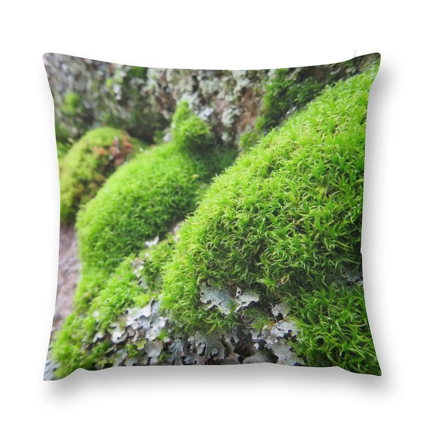 

moss Throw Pillow Marble Cushion Cover Decorative pillowcase