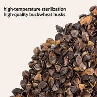 Buckwheat Pillow Sobakawa Traditional Buckwheat Standard Size Pillow Adjustable Buckwheat Hull Pillow 55x35x8 for Side Sleepers 2