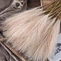 55CM 5/1PCS Fluffy Pampas Grass Boho Decor Flower Fake Plant Reed Simulated Wedding Party Christmas Home Decor Artificial Flower 2