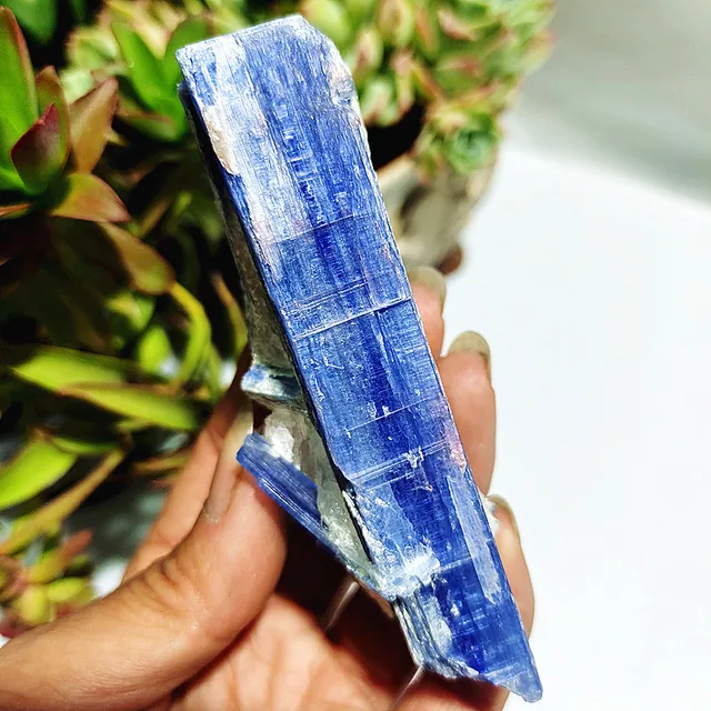Transform your living space with the Natural Mineral Stone Kyanite Crystal Cluster