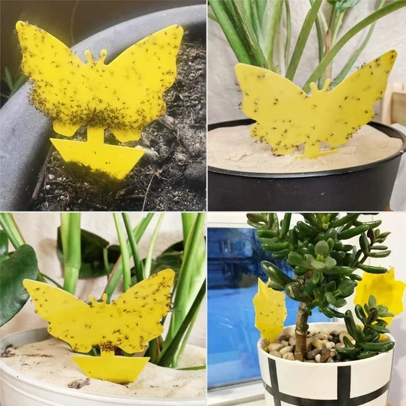 Insect Traps Sticky Yellow