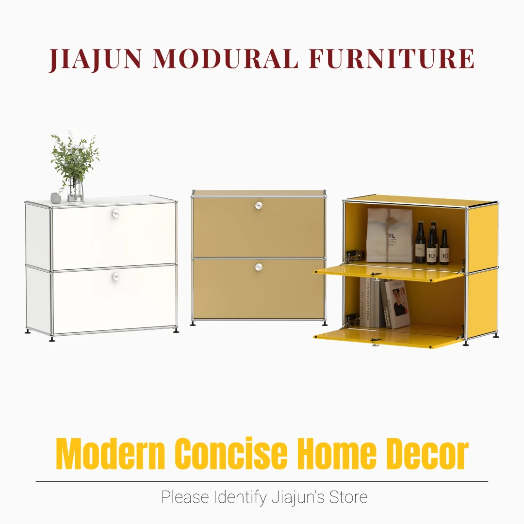 Modern Steel Flip Door Cabinet｜2-Tier Modular Storage Unit｜Custom Color Metal Organizer for Entryway, Living Room or Office