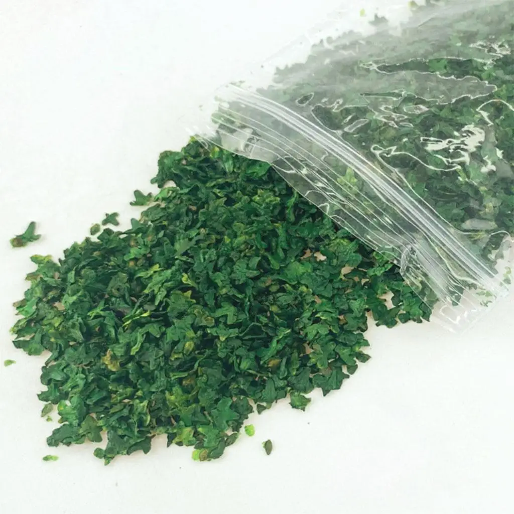 33ml Micro Landscape Leaves Sand Table Diorama Grass Tufts Accessories Miniature Leaf Static Model for Bonsai Fairy Garden Decor 2