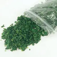33ml Micro Landscape Leaves Sand Table Diorama Grass Tufts Accessories Miniature Leaf Static Model for Bonsai Fairy Garden Decor 2