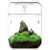 Glass Bottles Creativity Dew Collection Glass Vase Micro Landscape Succulent Moss Landscape Glass Terrarium Home Decor 5