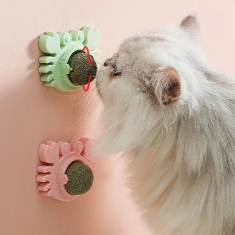 Catnip Balls Dental Toy for Kitten Teeth Cleaning Natural Silvervine Ball AliExpress