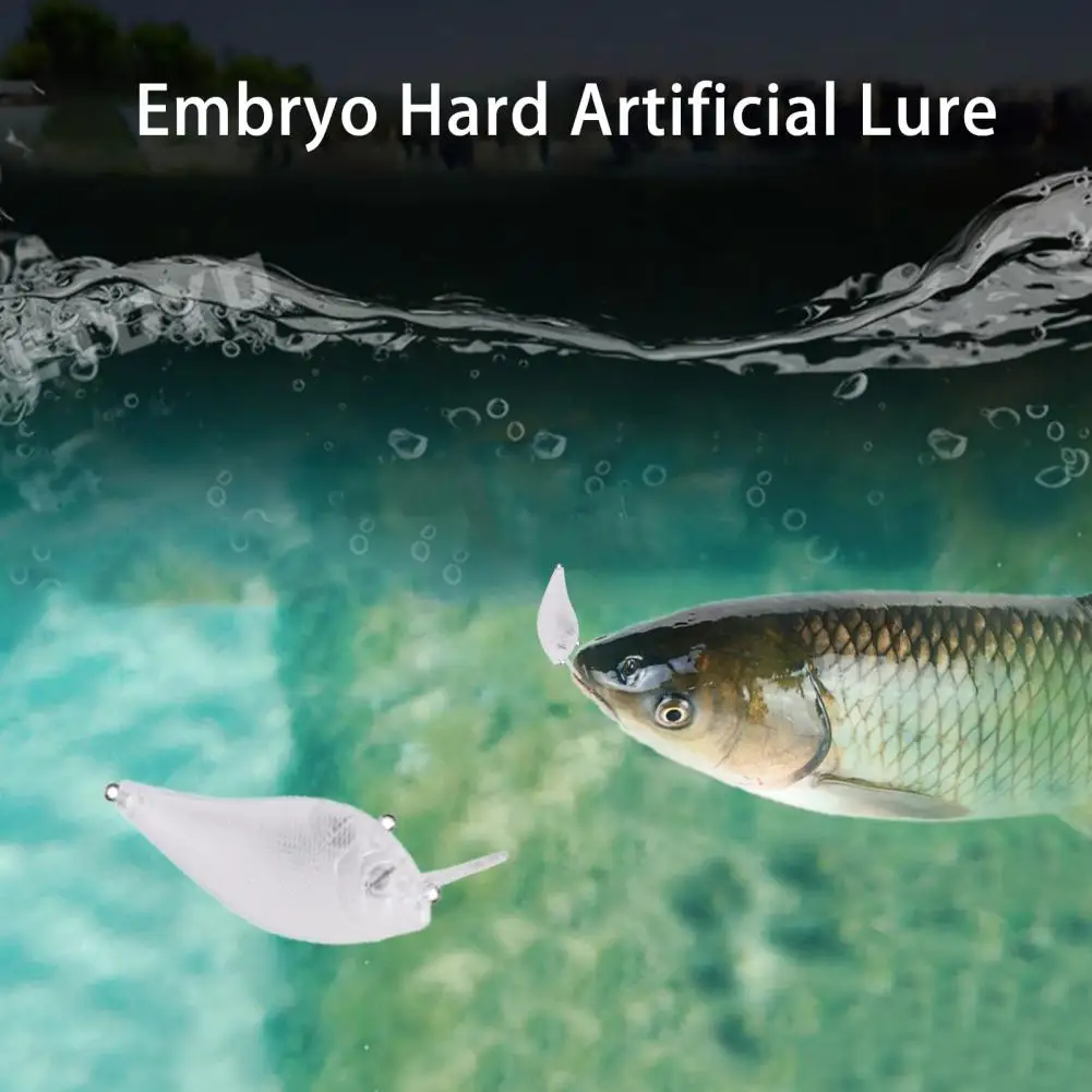 

Fishing Bait Fake Lure One-piece Modeling Embryo Hard Fake Lure Practical Embryo Hard Fishing Lure Fishing Accessories