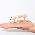 Arctic wolf -3