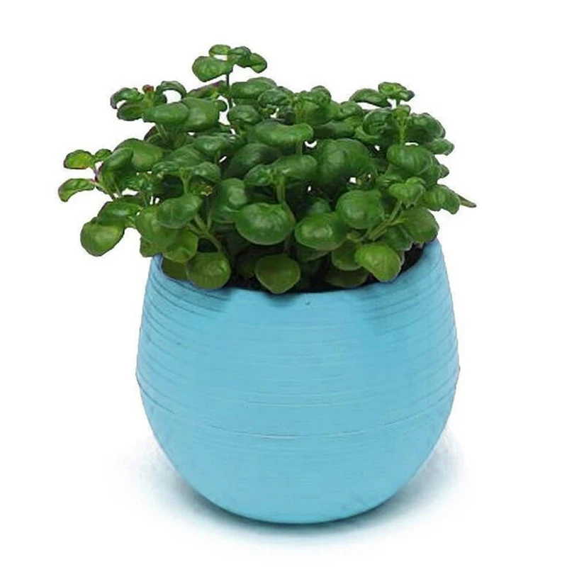 Mini Size 7*7cm Colorful Plastic Flower Planter Pots Home Office Desktop Garden Decor flower pot plant pot