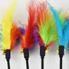 6PCS Feather Toys for Cats 4