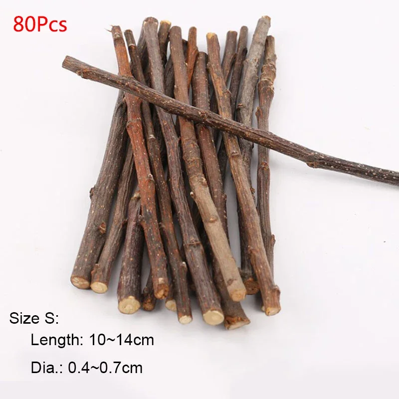 Premium Pet Teeth Grinding Apple Sticks & Mineral Chew Toys