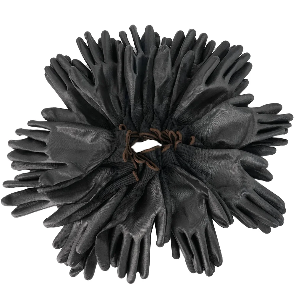   ۾ 尩, ̲  PU Ϸ,  Ǽ 뵿ڿ ,  ȣ, 12 