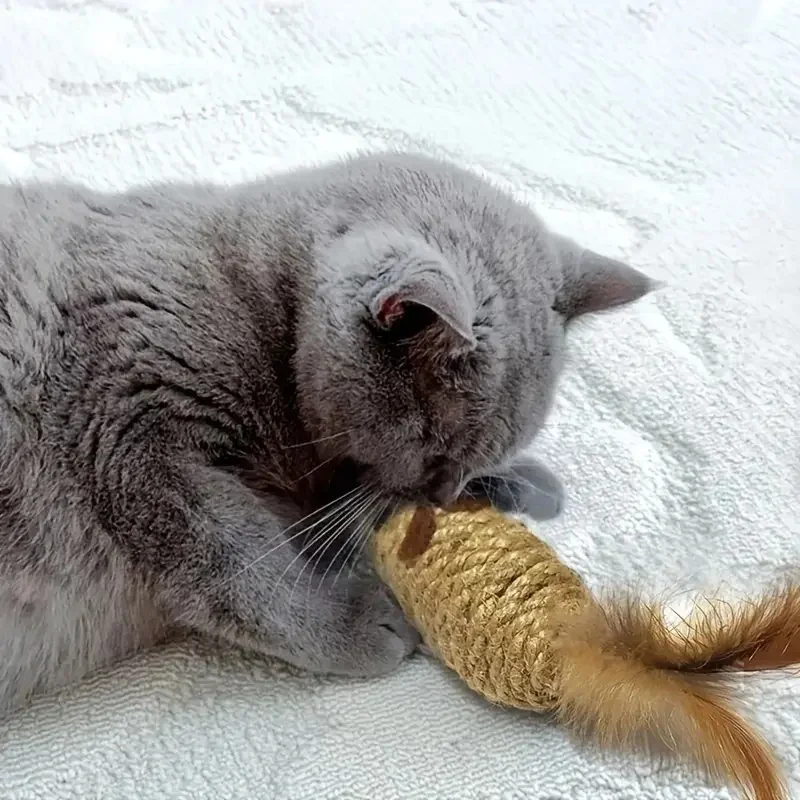 Bite-Resistant Mouse Cat Toys with Feather Tails 4