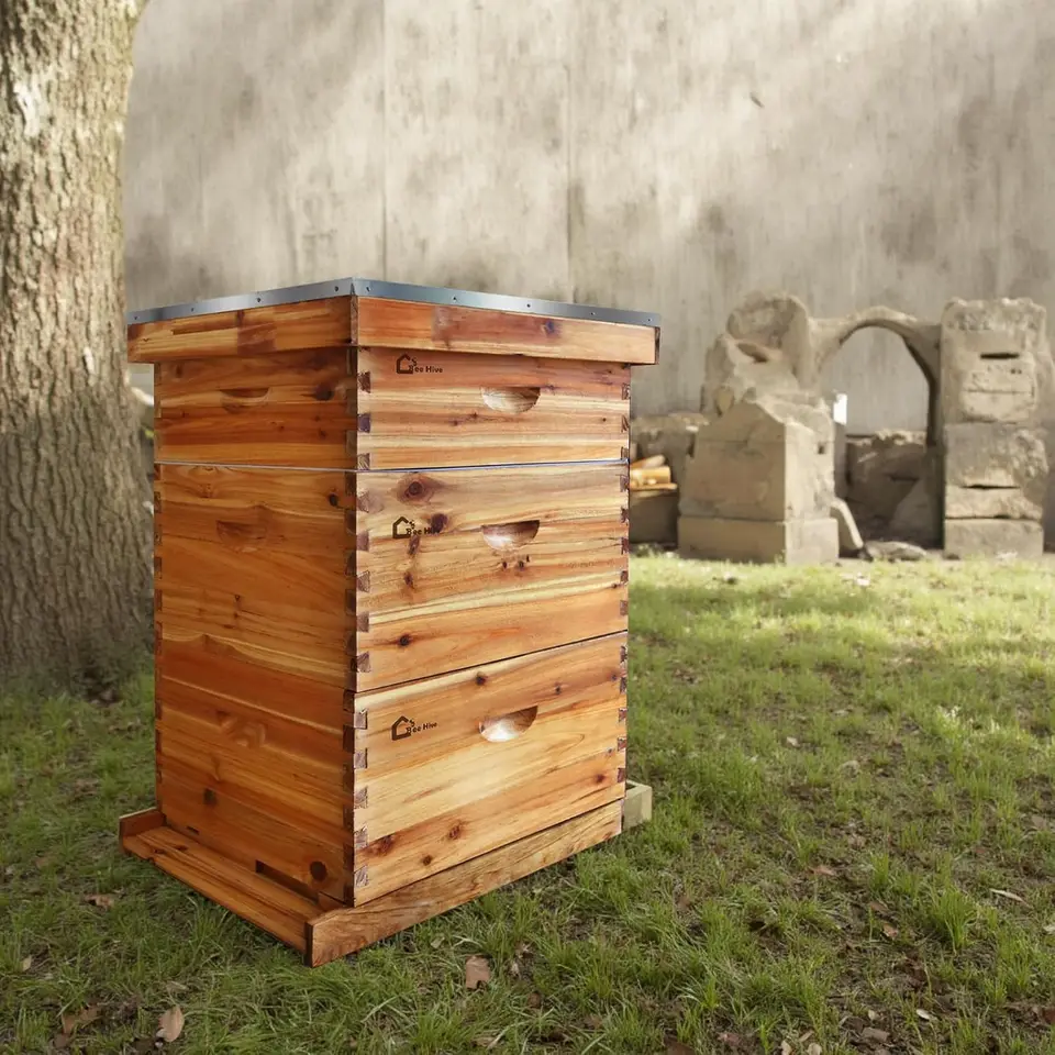 Complete Beehive Kit with Wax Coated Frames
