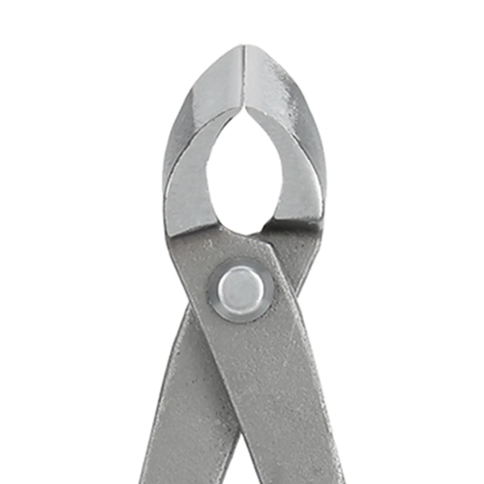 Slide image 17ab8ac54f85498395f0f2d691436d3b