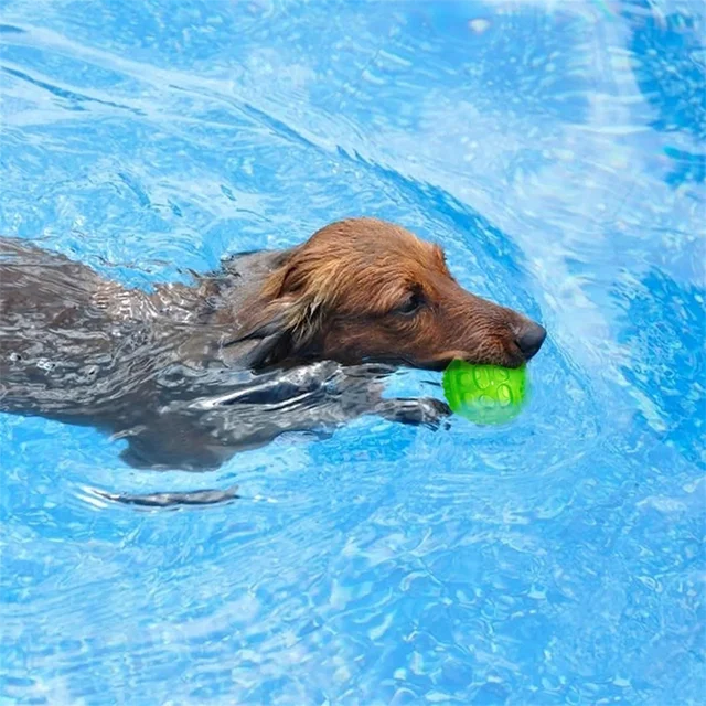 Pet dogs squeaking, bouncing, puzzle balls cleaning, teeth chewing, toys training, accompanying small and medium-sized dogs 4