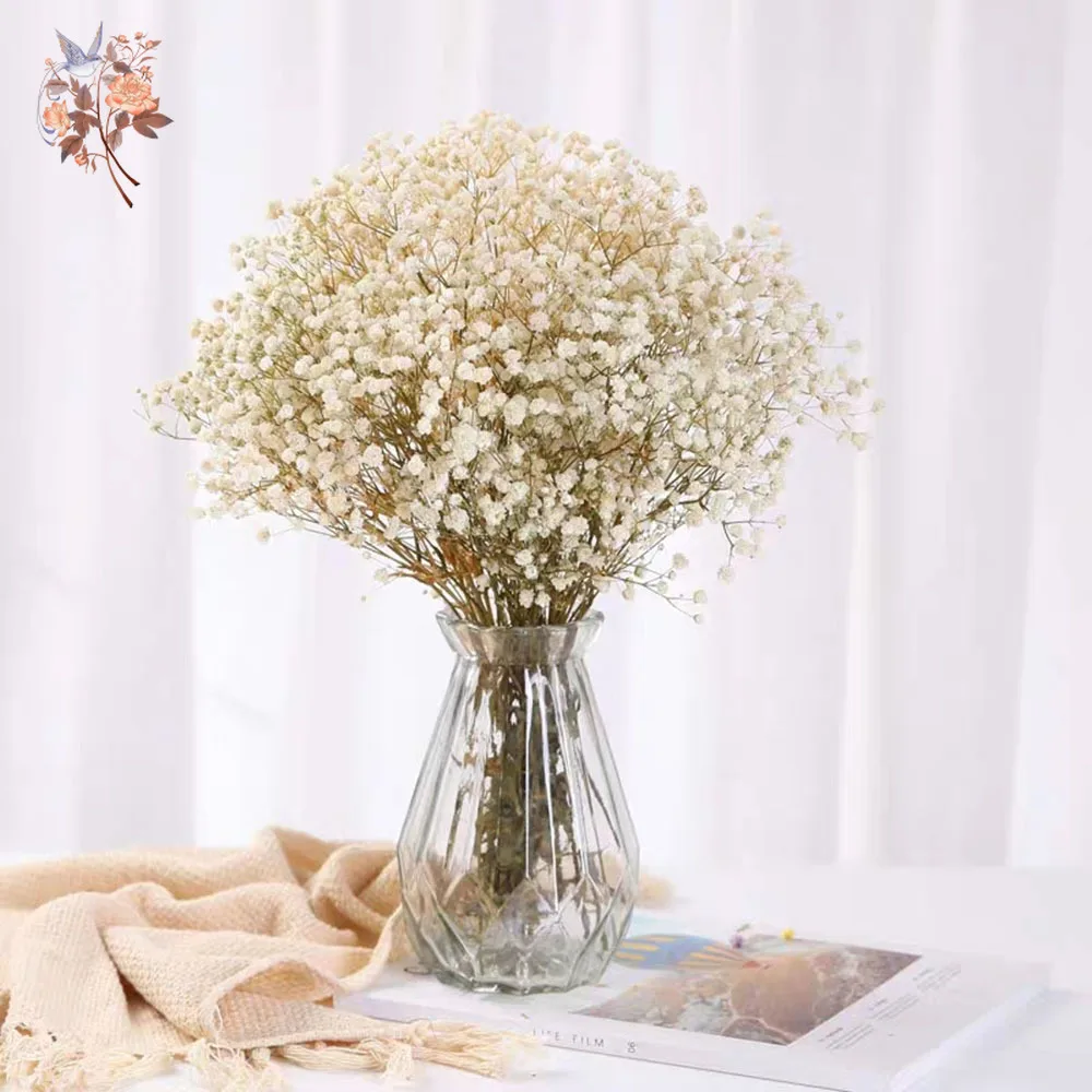 Droogbloemen babyadem boeket liggend op boeken