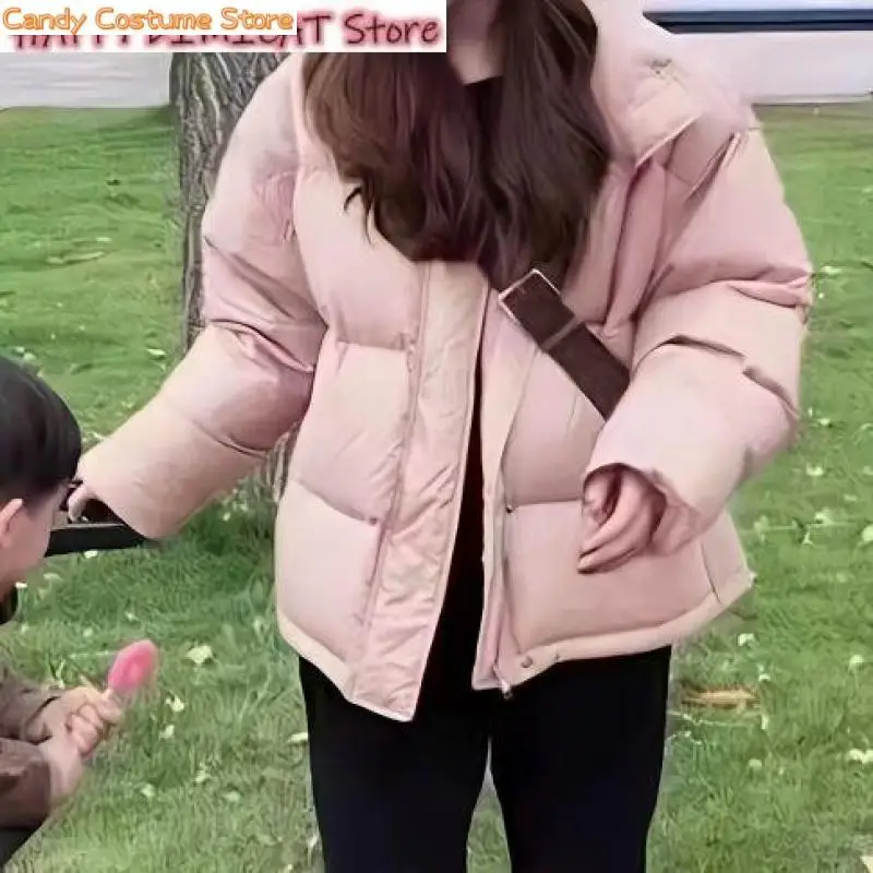 Women Warm Overcoat Winter Down Coat Parka Female  New Winter Duck Down Coat Parka Short Feather Warm Puffer Jacket