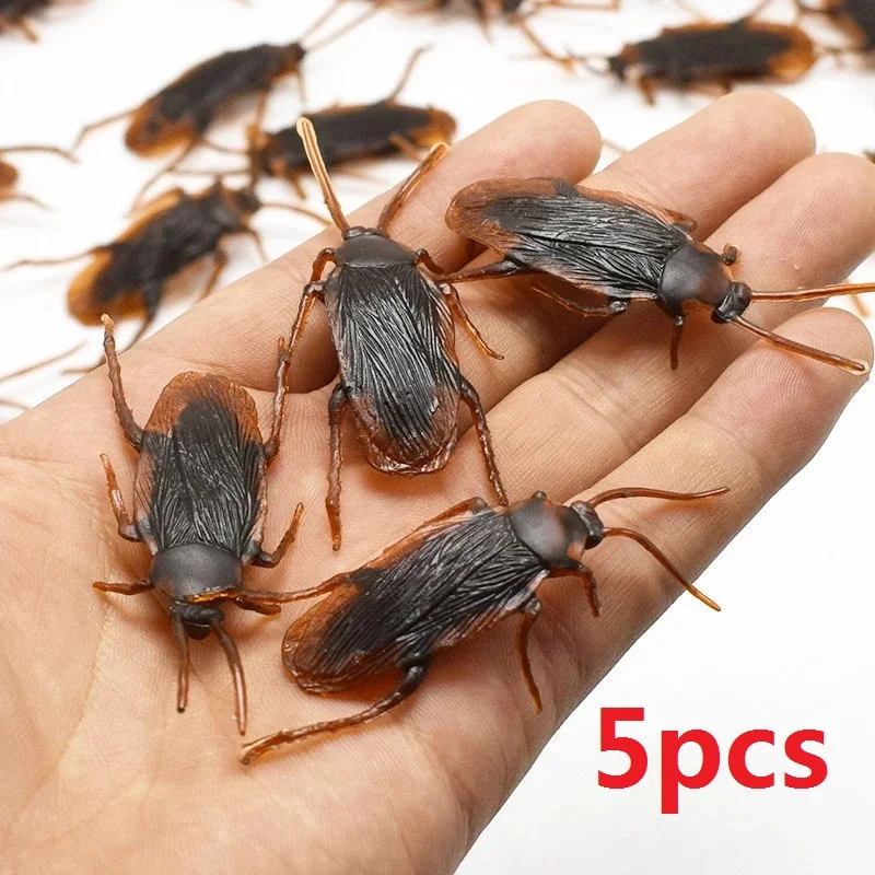 Cockroach-5pcs