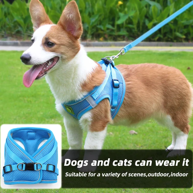 Dog Harness Pet Leash Vest-style Cat Breathable Adjustable Rope Reflective Pet Supplies Small Medium Dog Walking Harness Lead 5