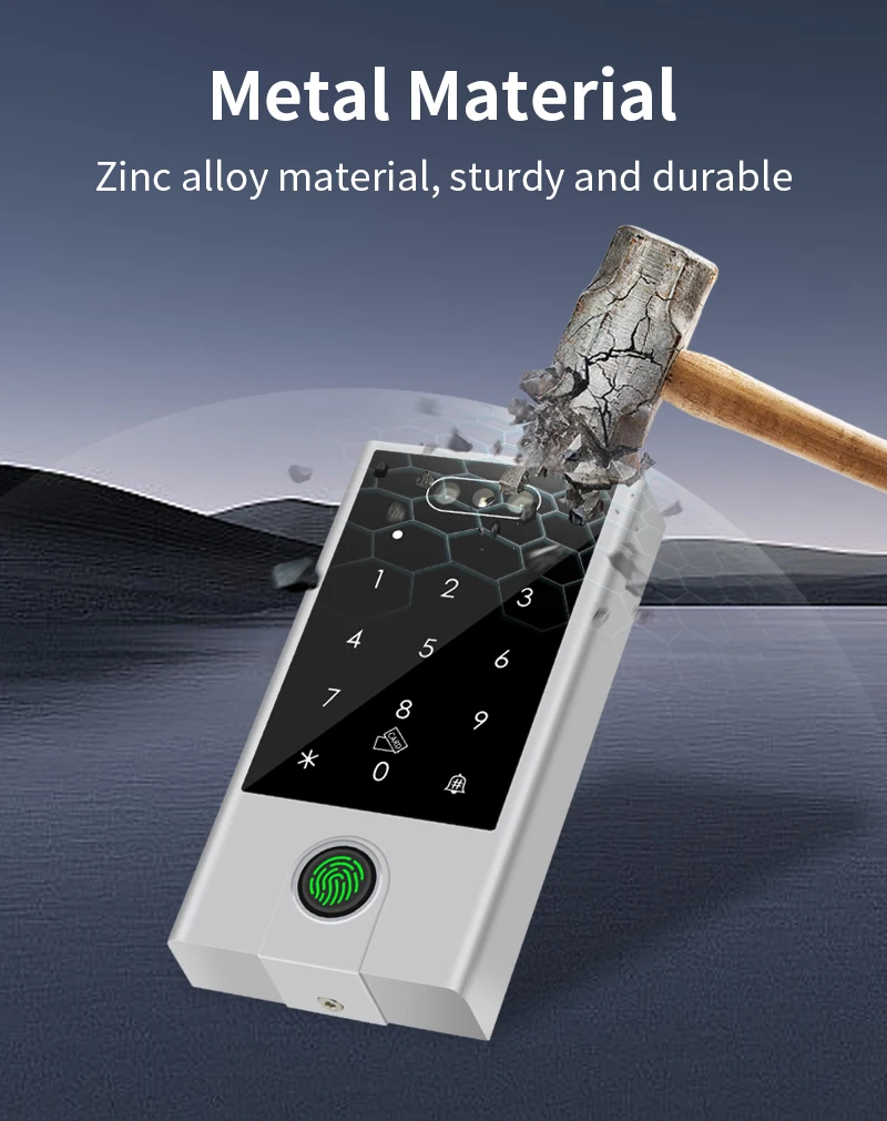 Tuya APP WIFI Face Wiegand 26-34 Recognition Fingerprint 125KHZ 13.56MHZ RFID D