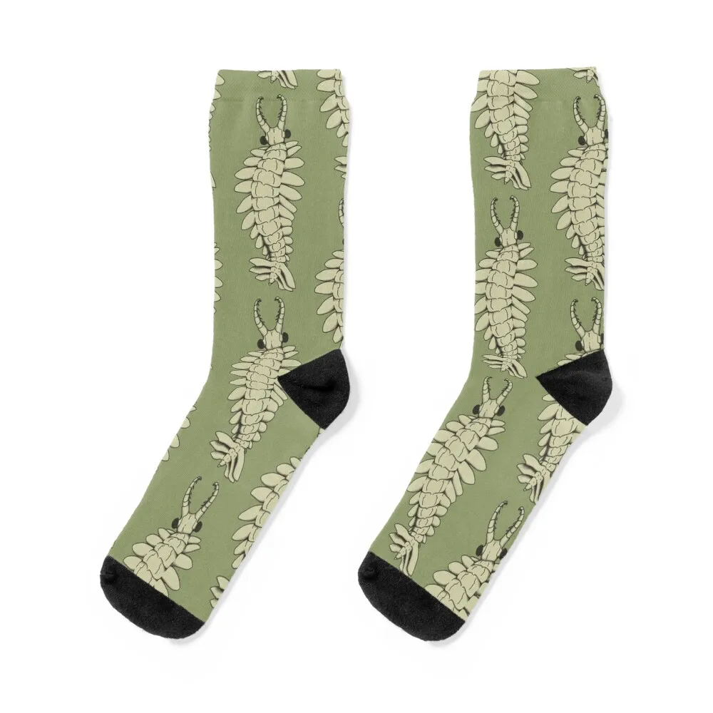 

Anomalocaris Socks Men's happy Women's Socks Men's