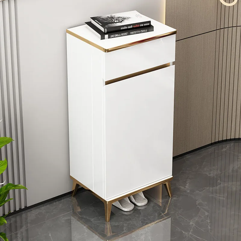 

Shelves Organizers Shoe Cabinets Drawers Apartment Unique Bedroom Shoe Cabinets Outdoor Showcase Zapateros Living Room Furniture
