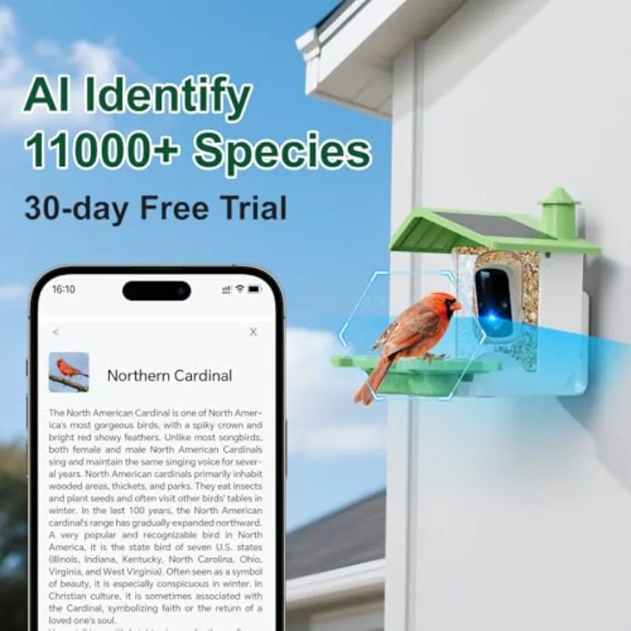 description