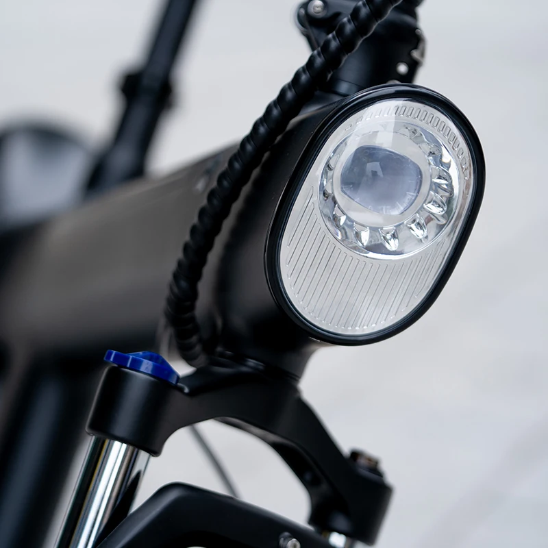 NEW Q3 E-bicycle Bikes Mountain E-bike 20inch Fat Tire Fatbike 750w Ebike Bicycle Electrica Electric City Bike for Salecustom