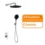 Chrome Shower Set