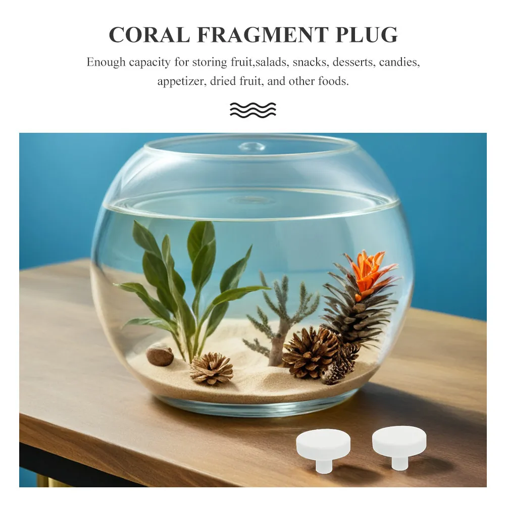 세라믹 산호 플러그 20개 수족관 T자형 지지대 어항 산호 번 화이트