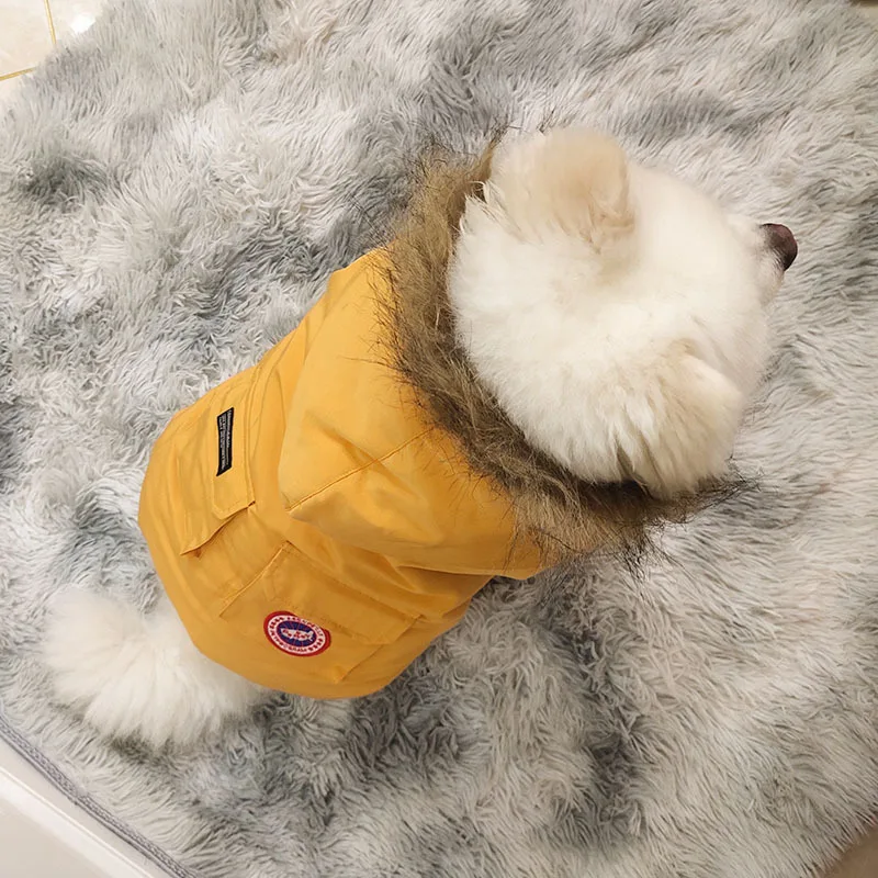 Artik Feather Down Dog Vest
