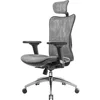 M57 Ergonomic Office Chair with 3 Way Armrests Lumbar Support and Adjustable Headrest High Back Tilt Function Grey 1